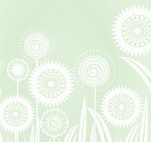 ČESKÝ SVAZ OCHRÁNCŮ PŘÍRODY 2007 v Buchlovicích s účastí 156 dětí + 26 vedoucích + 12 odborníků + 3 organizátoři. K celému ročníku vydalo Sdružení MOP samostatný sborník.