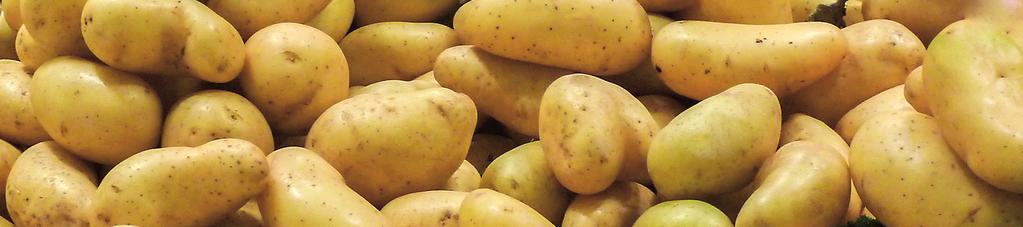 Porovnání produkčních ploch brambor ostatních podle krajů bez dopočtu domácností (ha) Region 21 211 212 213 214 215 216 Hl. m.