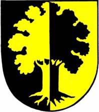 Rozpočet města Dubí na rok 2009 Schváleno