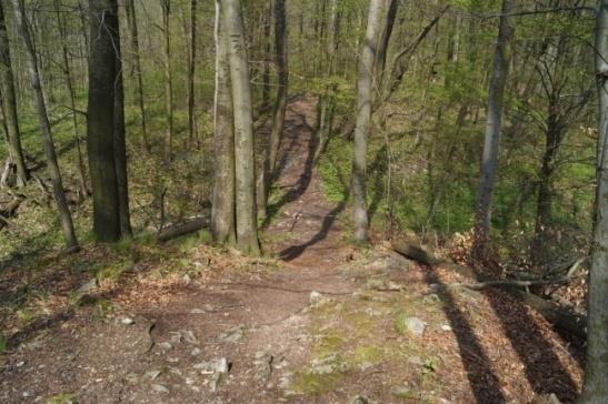 Obrázek 8: Cesta ke zřícenině hradu Blansek Obrázek 9: Zbytky zříceniny Tabulka 4: Hodnocení přístupnosti zříceniny hradu Blansek Parkování Cesta k objektu Pohyb po objektu Toalety Tělesné