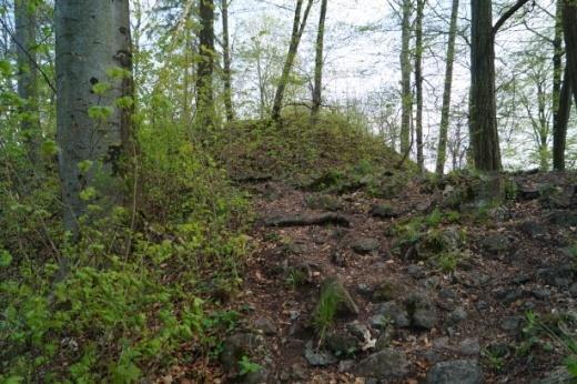 4 Hrad Doubravice Zakladatelem hradu byl podle všech předpoklad šlechtic, který kolonizoval zdejší kraj v polovině 3. století Holáč z Doubravice.