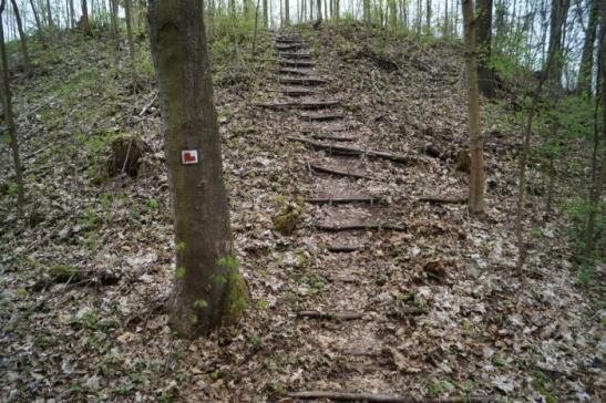 Obrázek 20: Přístupová cesta ke zřícenině Obrázek 2: Místo, kde stával hrad Tabulka 7: Hodnocení přístupnosti zříceniny hradu Doubravice Parkování Cesta k objektu Pohyb po objektu