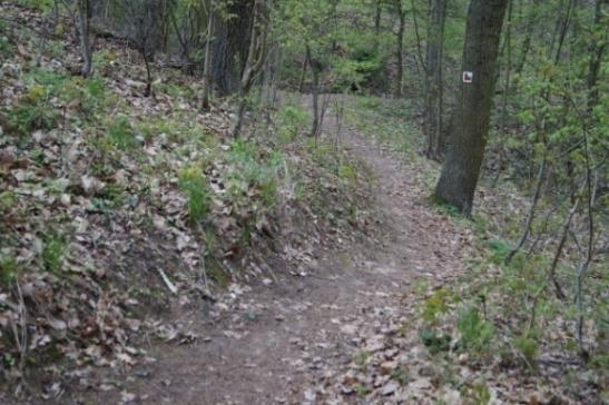 Hrad Holštejn Samotný hrad přestavoval jednoduchou bezvěžovou dispozici s obvodovou zástavbou a na svou dobu patřil k největším a nejpohodlnějším sídl m na Moravě.