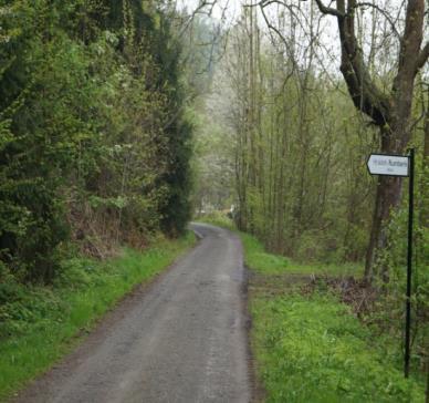Obrázek 37: