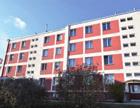 Zděné Prodej OV 1+1 Družst., revitaliz. zděný dům. 4.NP, CP 37,42 m 2, balkon 2,0 m 2 a sklepní box 3,3 m 2. Nové Převod DB 2+1 ul.