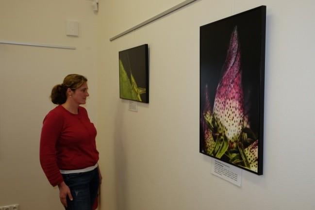 Nové fotografické výstavy V rámci projektu 25 let Národního parku Šumava vznikly dvě výstavy s názvy