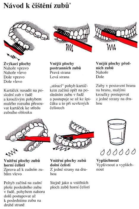 Obr. 29: Návod pro správné čištění chrupu a udržení dobré ústní hygieny.