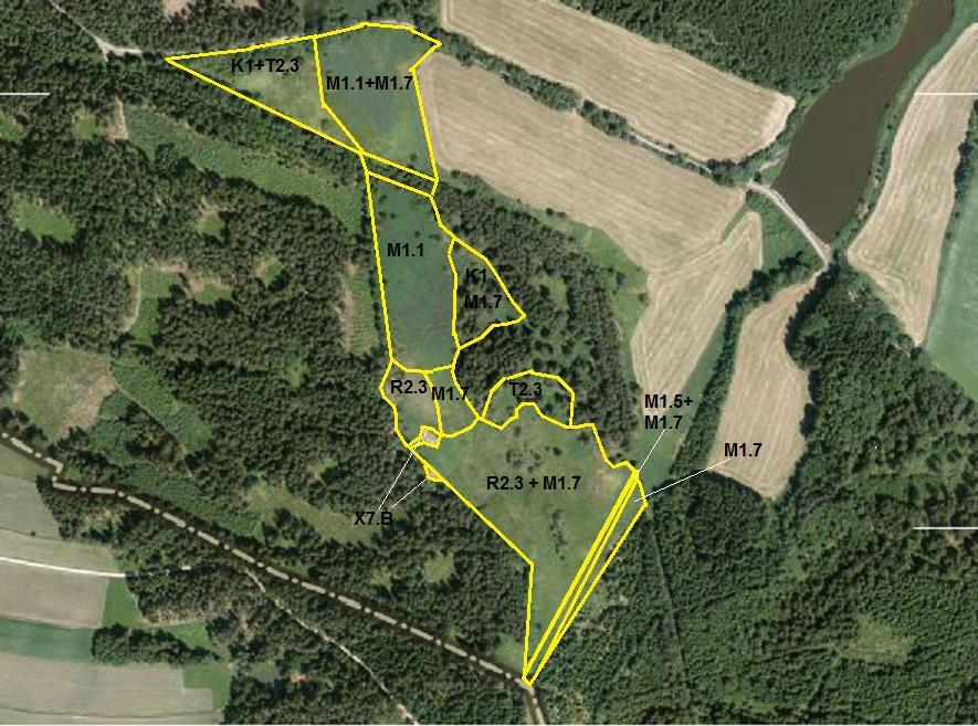 Obr. 6 Mapa biotopů Čtyřicítka jižní část.