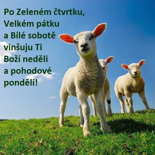 Šilheřovický