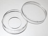 35 mm Glass Bottom Dishes Well Size Our 35 mm glass bottom dishes have the same size as BD's 35 mm culture dishes.