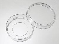 55 mm Glass Bottom Dishes Well Size 55 mm glass bottom dishes allow a flatter angle for injection, and the 30mm micro-well dishes have a large cover glass area that allows more cells for sampling.