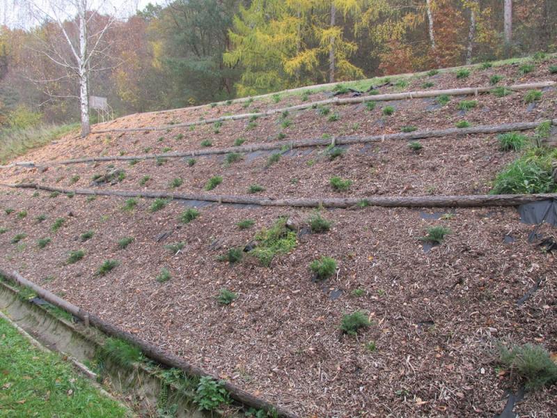 rozhodnutím Botanické