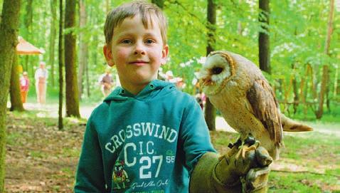 Zbytek zubřího stáda, včetně býka, se postupně přidal k novopečené mamince a všichni se vrátili k poklidnému spásání bujné vegetace v rezervaci, což je jejich hlavní úloha.