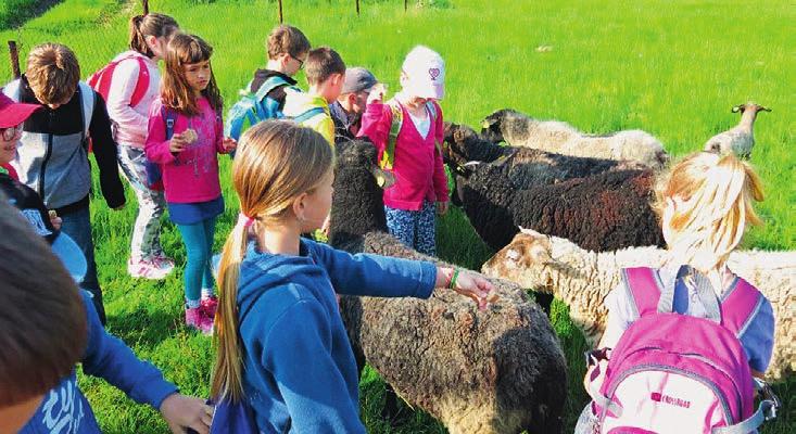 ZÁKLADNÍ ŠKOLY - ZŠ PRAŽSKÁ dy ke všem zvířatům, které si děti mohly nakrmit a pohladit, až na krávy, ty byly plaché a držely si od nás odstup.