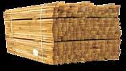 bambus Popis: kulaté bambusové tyčky průměru 16 18 mm Životnost: 2 roky Dodávané výšky: 180 cm Balení: 100 ks Kůl buk