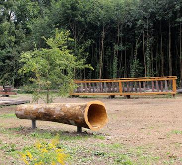 Navrhované stromy budou vybírány dle místních klimatických podmínek v zastoupení zejména dubů a javorů.