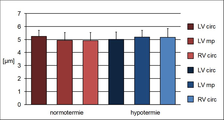 4.2.2 Šíře kardiomyocytů ve vybraných oblastech Po barvení hematoxylinem a eosinem vyšly hodnoty mezi jednotlivými oblastmi velmi podobně (Graf 3).