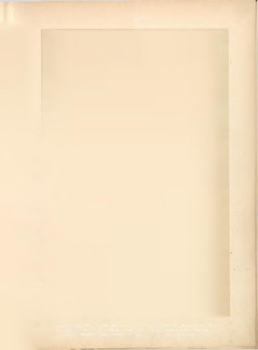 Třida XIII. O b r. 1.