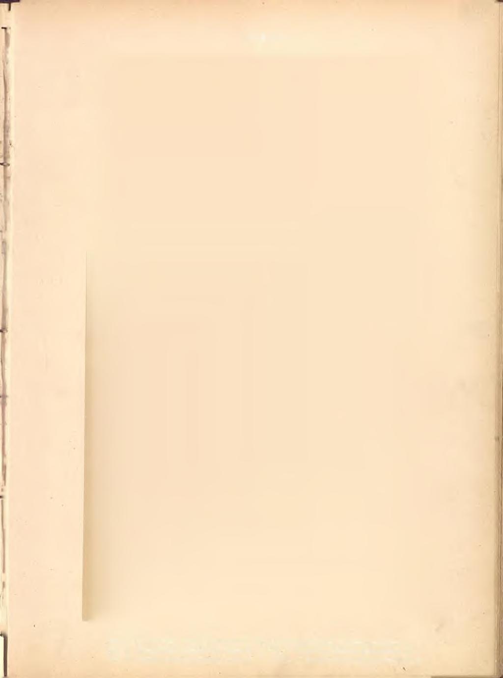 Třída XV..Ob.'. 1.