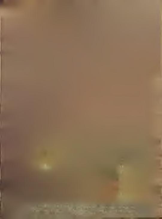 O b r. 1. B le š n ík ú p la v ič n ý, P u lic a ria d y s e n íe ric a.g á rtn. O b r. 2.