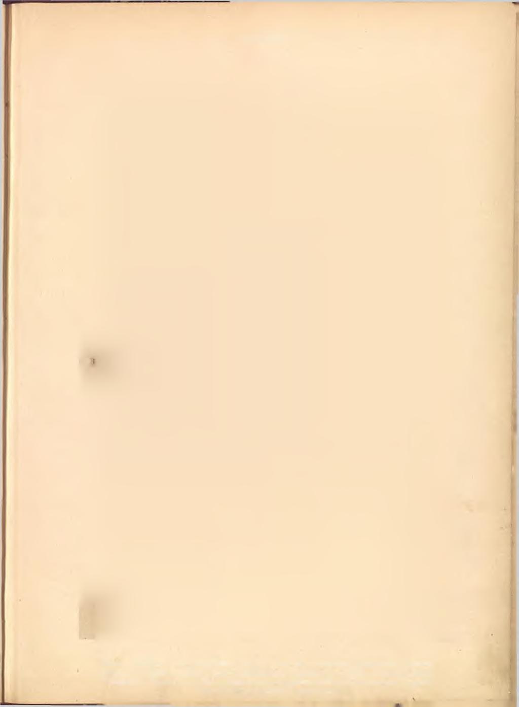 Třida XXIV. 63. O b r. 1.