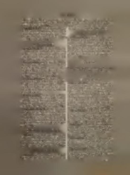 žlutavě zelenavé; listy vstříčné, široce vejčité, jen dva na stvolu. Na vlhkých lukách. Cn., čc. Vytrvalý. Tab. 56. 7. Kruštik širolistý, Epipactis latifolia L.