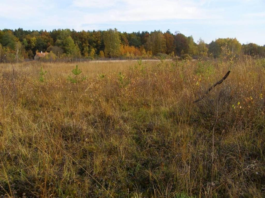 Obr. 5: NPP Ruda před zásahem (20.