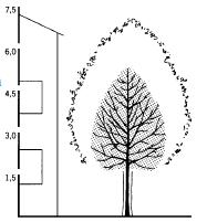 Výška kmene bude u alejových stromů 220cm a obvod kmene je uveden v tabulce VV. Listnaté stromy budou dodány pouze se zemními baly.