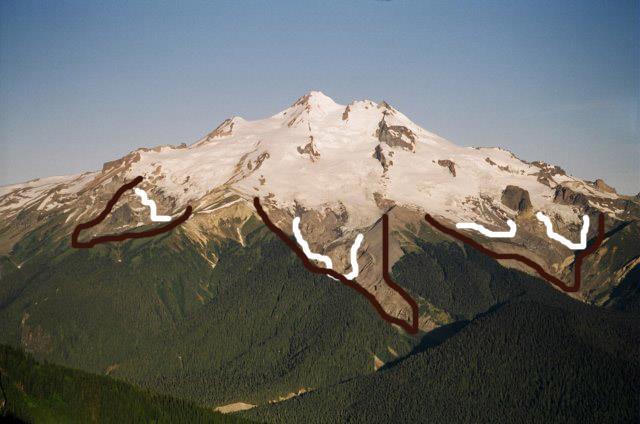 dlouhověkost, využití v lichenometrii Xanthoria elegans Glacier