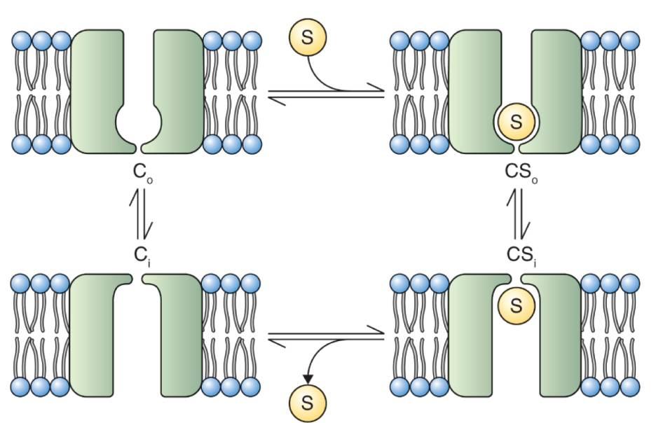 e) Přenašeče a co-transportéry, mediátory difúze a sekundární aktivní transport 12 Přenašeče a co-transportéry hrají úlohu v příjmu anorganických látek, včetně NH 4+, NO 3-, SO 4 2-, H 2 PO 4-.