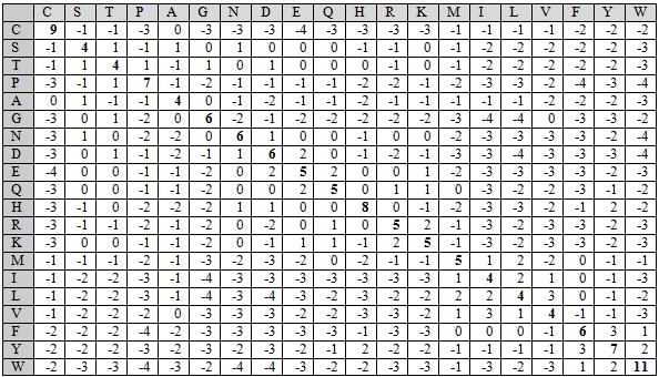 4.3.2 Skórovací matice (Scoring Matrices) Jak již bylo řečeno, zarovnání dvou sekvencí je hledání jejich evolučního vztahu.