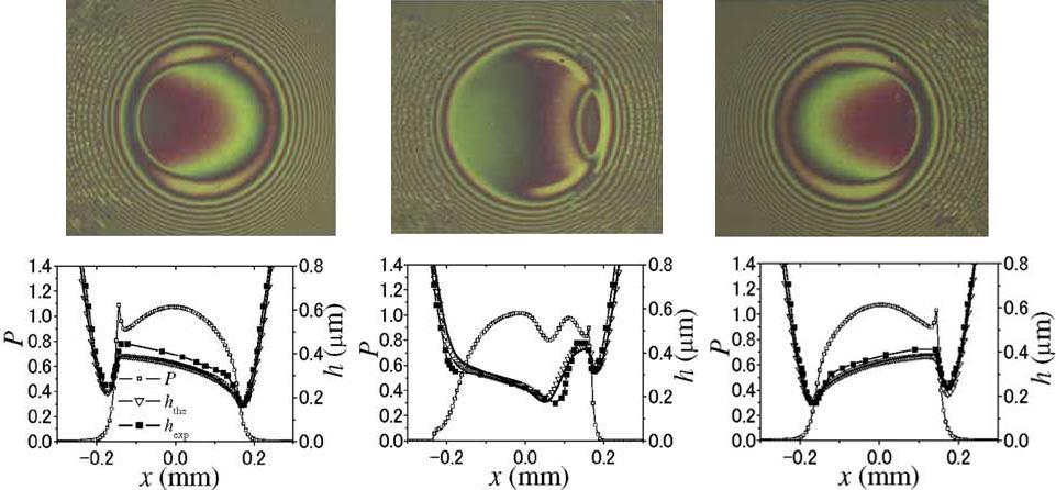 GLOVNEA, R.P. et al.: Elastohydrodynamic film collapse during rapid deceleration, 2001.