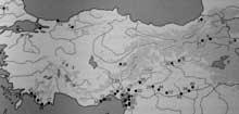 biogeografie netopýrů Mediterránu Základní krok výskytová data