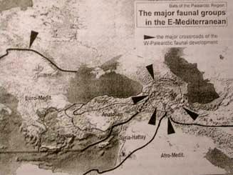 Někde Ekologické důvody (meze tolerance, geografie limitních podmínek