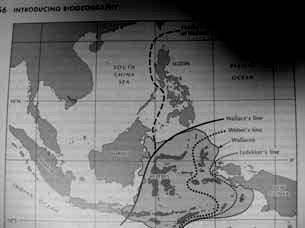 Endler (1844-1930) Fytogeografický akcent: souběžné uplatňování tradiční biogeografické regionalisace