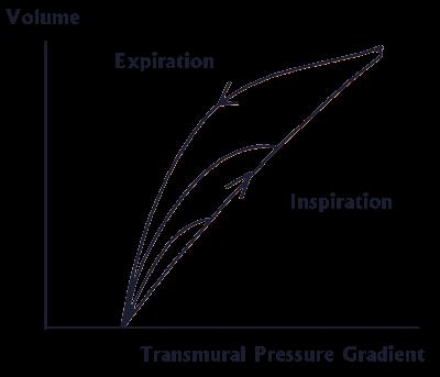 Faktory determinující velikost hystereze Dechový objem Transpulmonální tlak Interakce na rozhraní