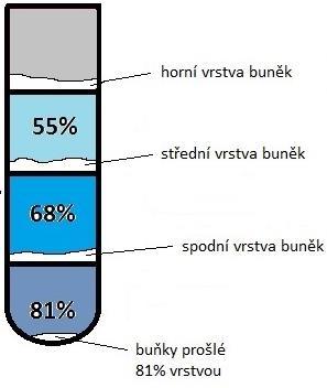 čistotou, proto jako optimální koncentrace pro další izolace byla vybrána 68% vrstva, která je kompromisem obou parametrů.