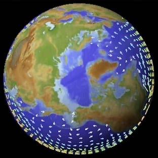 Marinní biocyklus je globální Cirkulace oceanických mas termohalinní