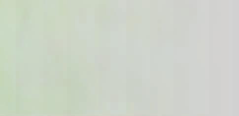 Tyto a další
