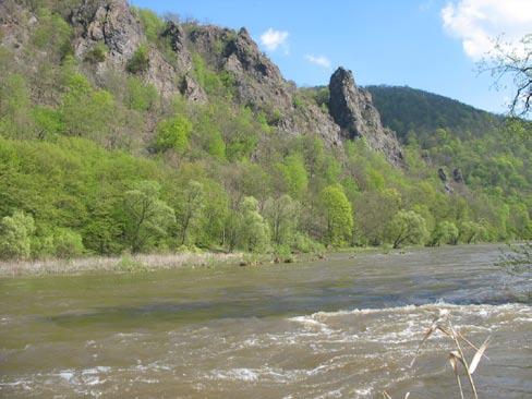 2. Společenstva svazu Alysso-Festucion pallentis jsou vyvinuta v teplých výslunných polohách na mělčích půdách skal a skalních stepí mírnějších úklonů i terásek na stanovištích příkrých a pravidelně