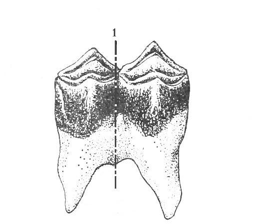 3. Metodika práce 3.