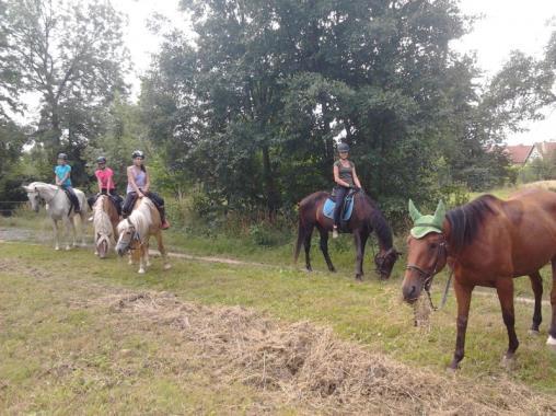 Akci bude provázet i grilování na našem dvorku. Přednáška bude v českém znakovém jazyce.