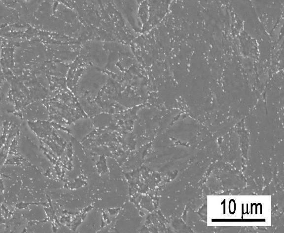 zmíněného uvádí pozorování částic oxidů Al 2 O 3 a sulfidů MnS až do velikosti 6 µm, dále částice obvykle protáhlého tvaru s vysokým obsahem Si a C velikosti až 7 µm a rovněž karbidy TaC velikosti až