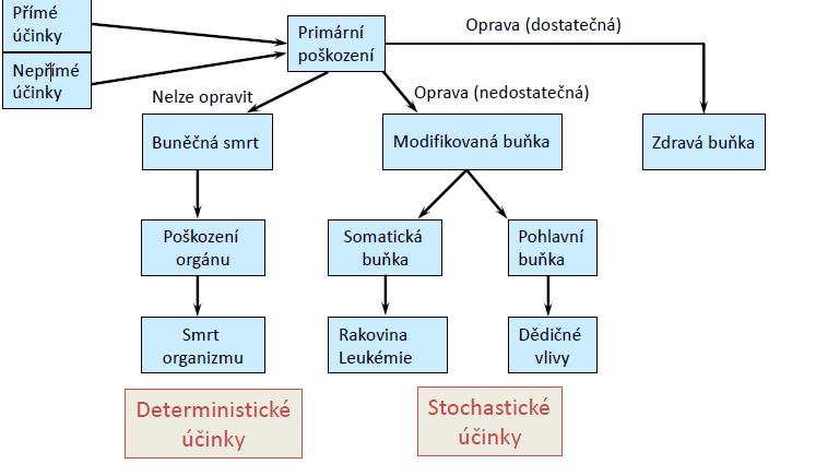 Obrázek 4.1 Biologické účinky na organismus[6] 4.2.