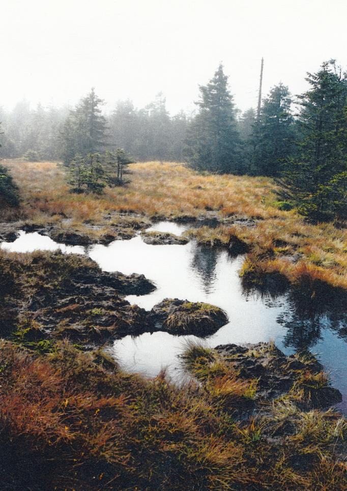 Fig 4: Jelení Lázeň peatbog NR environs of Malá