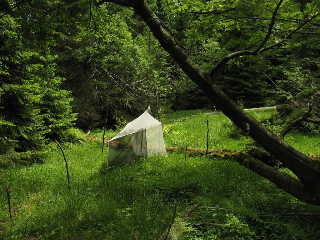 Fig 5: Černý Důl NR; Malaise trap for monitoring of insect