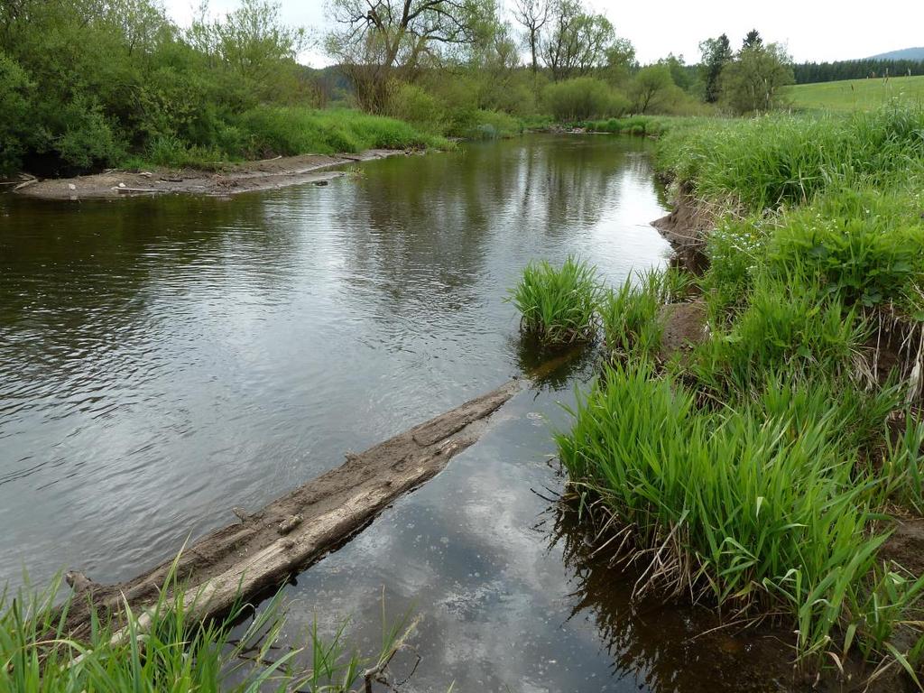 Fig 8: Orlické Záhoří environment; floodplain of the Divoká Orlice