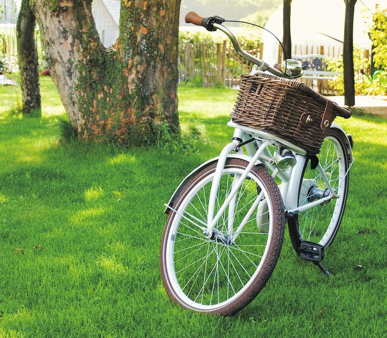 Cykloprohlídky jsou ZDARMA a sraz účastníků je vždy před budovou Turistického informačního centra. Odjezdy jsou v neděle ve 14 hod., v úterky v 15 hod. Vlastní kolo je pod- spělé osoby.