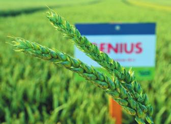 PŠENICE OZIMÁ S ODRŮDOU GENIUS ÚSPĚŠNĚ JIŽ 5 LET Agrodružstvo Vyšetice, Pravonín, okr. Benešov Výměra: 1500 ha Nadmořská výška: 450 520 m 