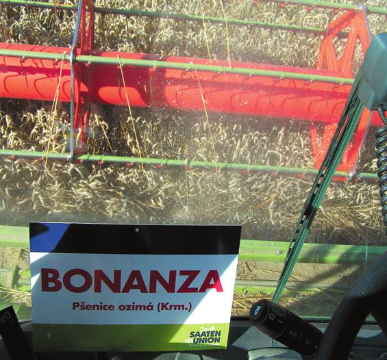 V ZS Slapy BONANZA dává nadprůměrné výnosy i na špatných pozemcích.